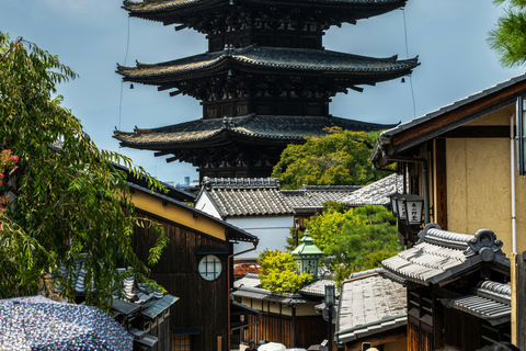 Tokyo: Private Nagano Zenko-ji & Snow Monkeys Day Trip Tokyo: Private Nagano Toyota Velfire (1–6 persons)