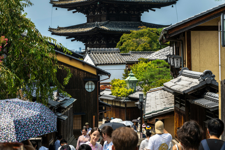 Tokyo: Private Nagano Zenko-ji & Snow Monkeys Day Trip Tokyo: Private Nagano Toyota Velfire (1–6 persons)