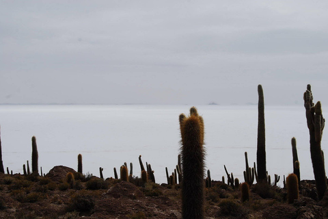 Depuis Uyuni : 3 jours d&#039;excursion dans les salines et les lagunes avec ...