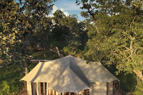 Siem Reap: Siempang Forest Lodge Retreat with Transfers