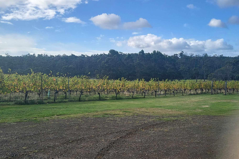 Huon Valley Wine &amp; Cider Tour - Hobart &amp; SE TasmanienHoun Valley Wine &amp; Cider Tour - Hobart &amp; SE Tasmanien