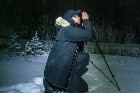 Tromsø: Tour dell&#039;aurora boreale con foto e trasferimento in hotel