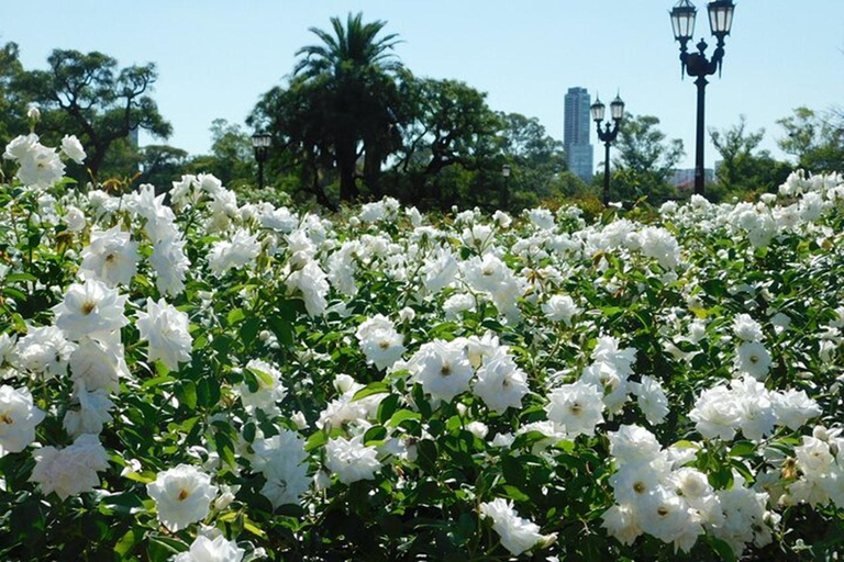 Discover nature at Buenos Aires city “The Palermo Woods”