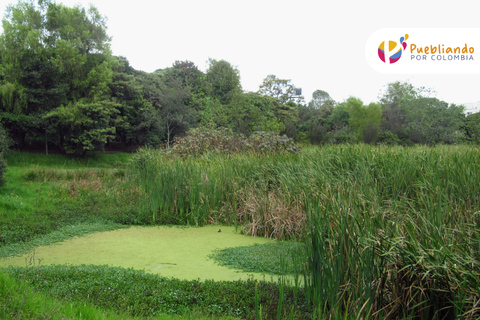 Bogotá Wetlands Sightseeing Tour Bogotá Wetlands City Sightseeing Tour