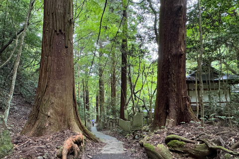 Près de KIX : Sanctuaire de cascades et de tranquillité de Shugendo