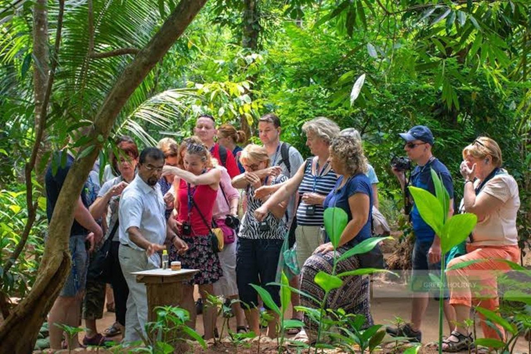 Sigiriya: Transfer to Colombo with Free Wood & Herbal Stops