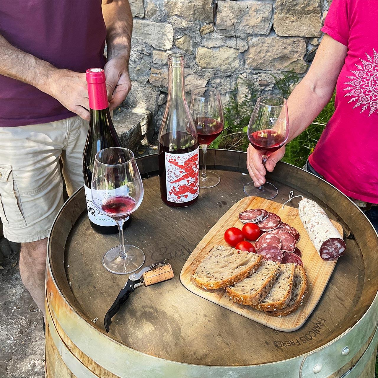 Béziers : Erkunde die Weinberge von Faugères mit einem Picknick