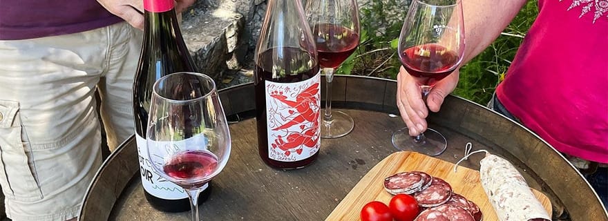 Béziers : Découvrez les vignobles de Faugères avec un pique-nique