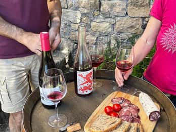 Béziers: Poznaj winnice Faugères podczas pikniku