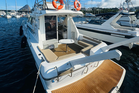 Private speedboat tour in Rio de Janeiro 4 hour Private speedboat tour in Rio de Janeiro