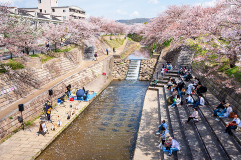 Osaka: Ganztagestour Nara, Uji Matcha Experience und Onsen