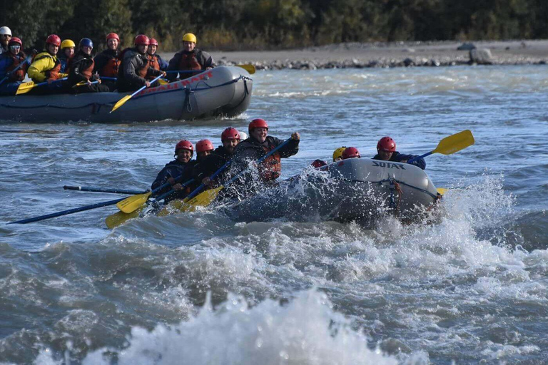From Fairbanks: Denali Rafting & Zipline Adventure Day Trip