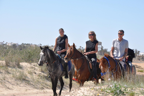 DJERBA : Paseo a caballo privado (2h).