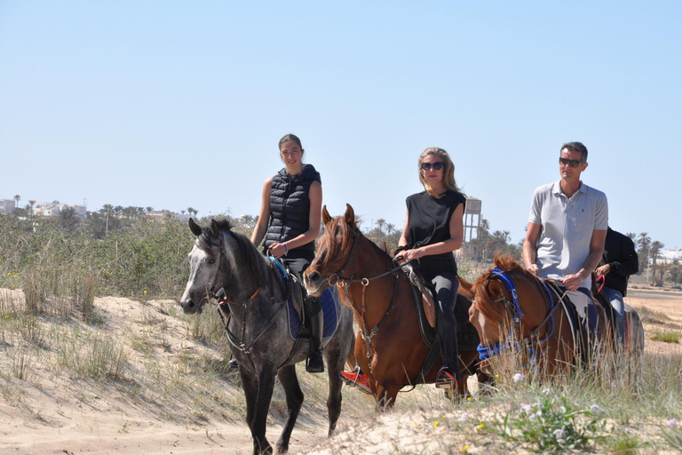 DJERBA : Paardrijden (2u).