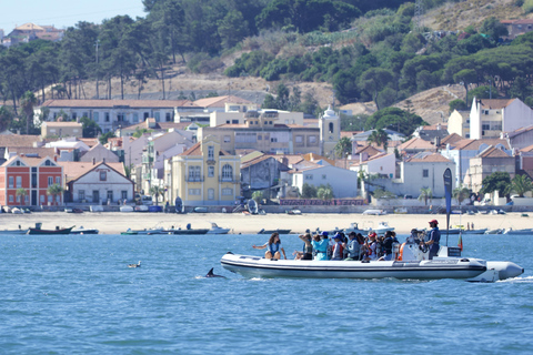 Lissabon: Båtutflykt med delfinskådningLissabon: Båttur för delfinskådning