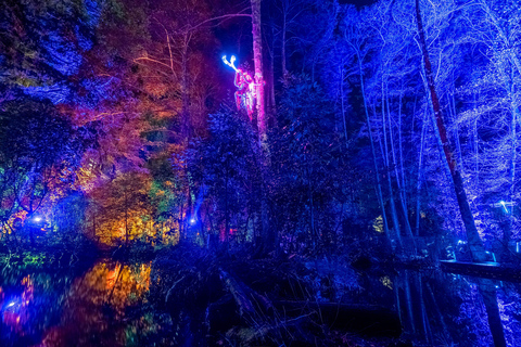 Queenstown: Whimsical Sensory Night Walk at LUMA Enchanted LUMA Enchanted - sensory illuminated walk