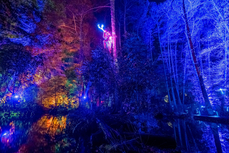 Queenstown: Whimsical Sensory Night Walk at LUMA Enchanted LUMA Enchanted - sensory illuminated walk