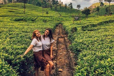 Lipton Seat Legacy: Tuk-Tuk & Train Tea Trails Tour