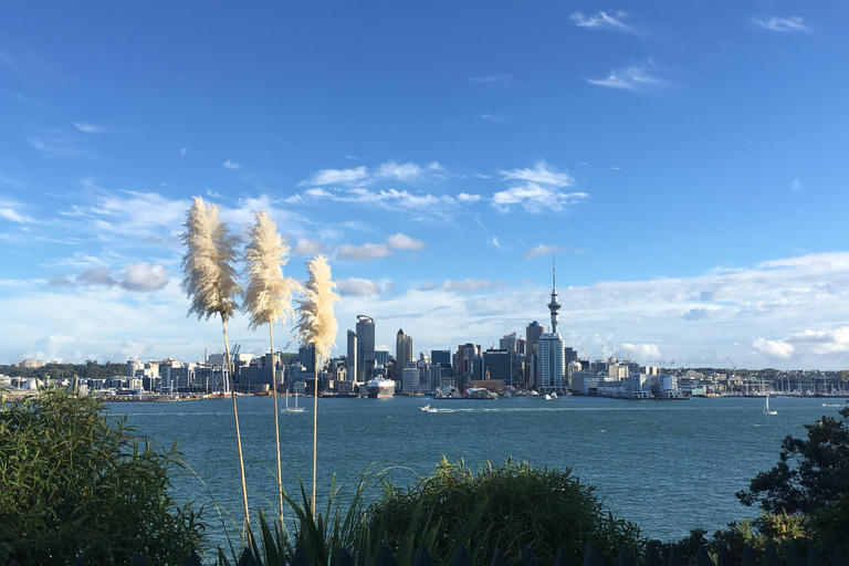 Auckland Volcanoes Full-Day Small Group Tour