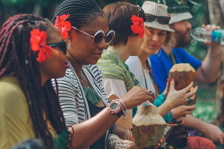 Zanzíbar: visita a una granja de especias con clase de cocina tradicional