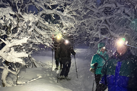 Oslo: Snowshoe & Bonfire in Troll Country