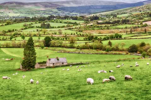 From Dublin: Wicklow Mountains, Glendalough & Kilkenny Tour