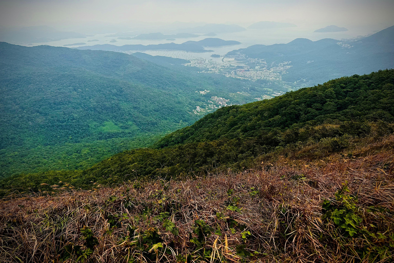 Hong Kong: Lion Rock Ridge Views Guided Hike (4 Hours)