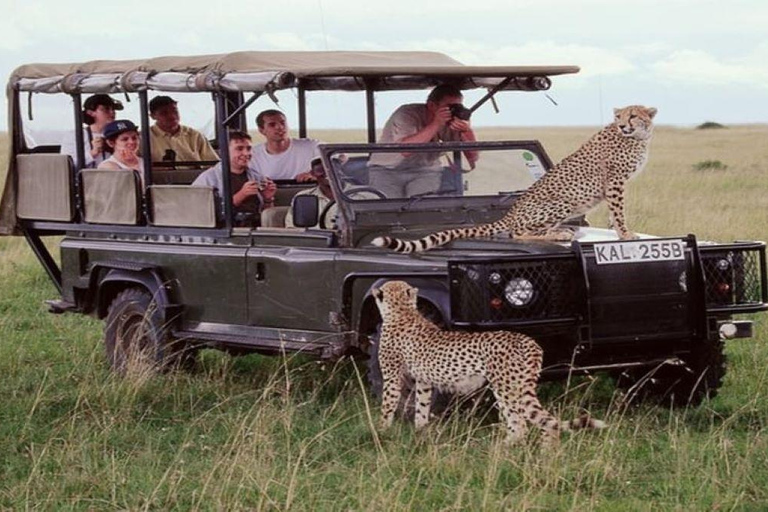 Lake Nakuru & Naivasha National Park Wildlife Highlights