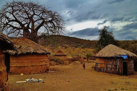 Vanuit Arusha - Maasai Boma Culturele tour