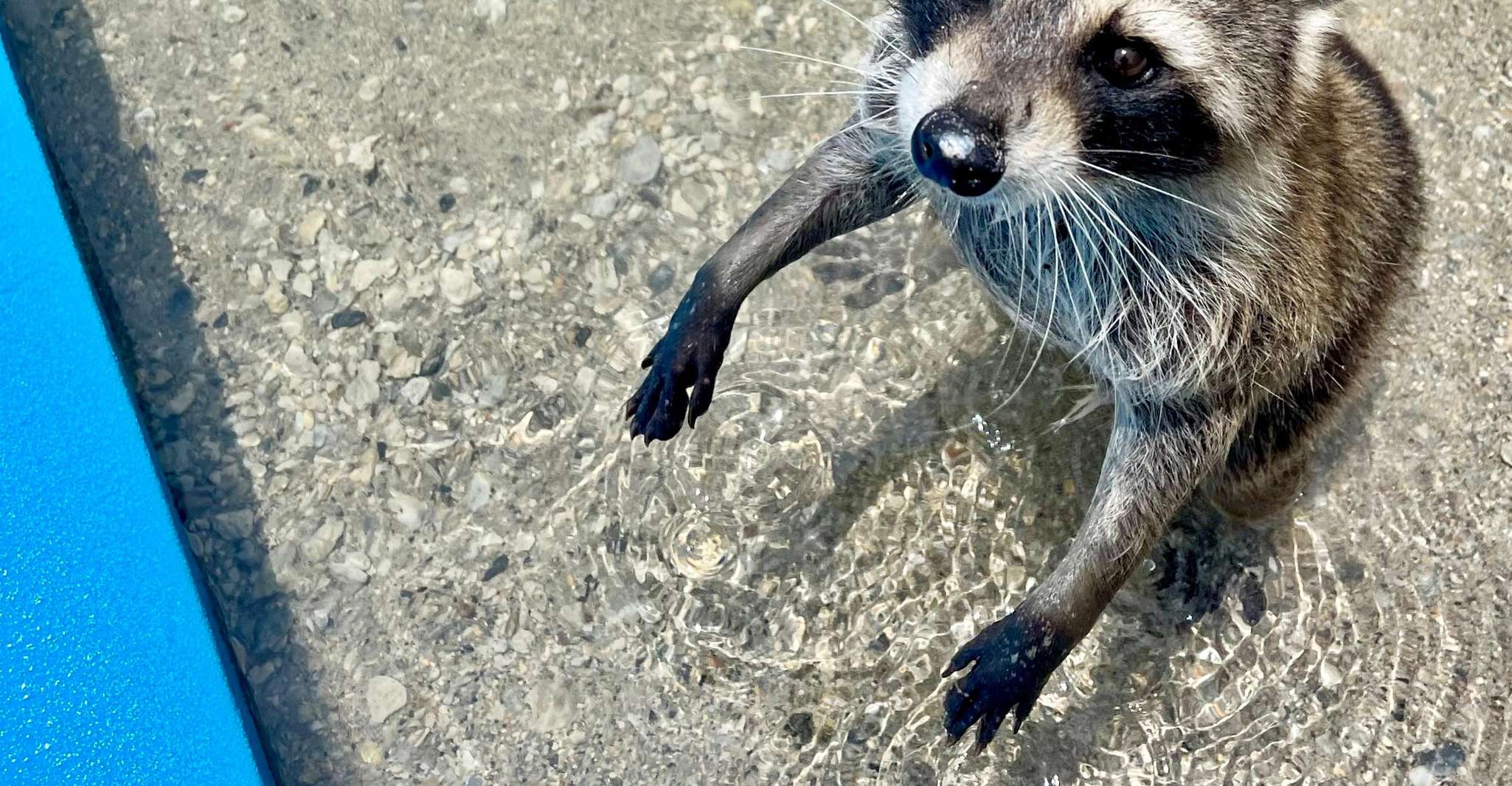 Miami: 4-Hour Island Hopping Boat Trip with Floating Mat photo 6