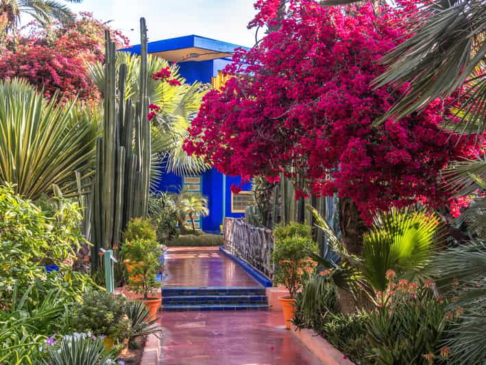 Marrakech - Circuit botanique et jardins Majorelle - circuit