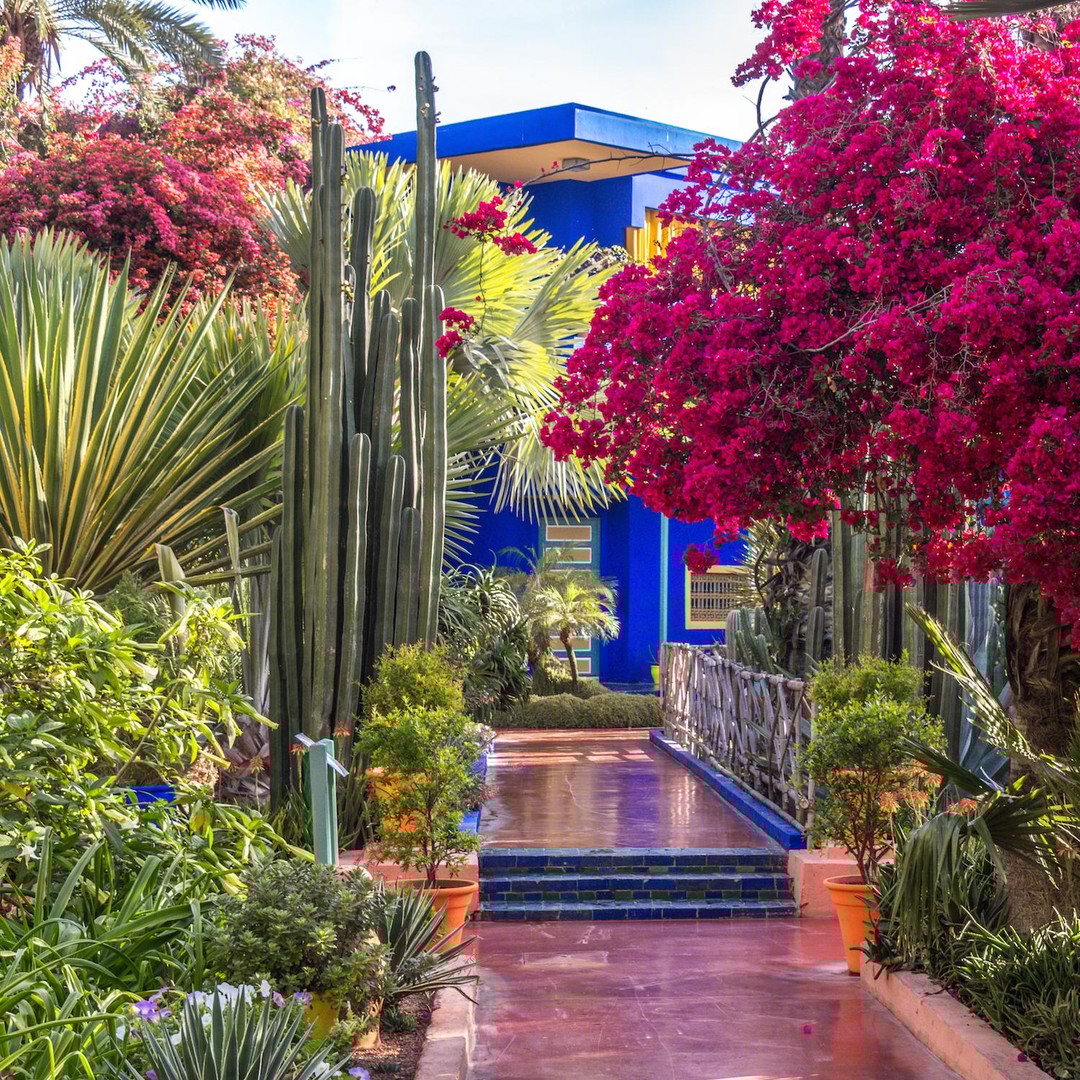 Marrakech - Circuit botanique et jardins Majorelle - circuit