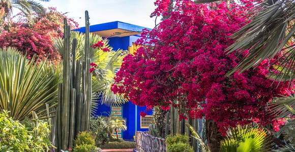 Marrakech - Circuit botanique et jardins Majorelle