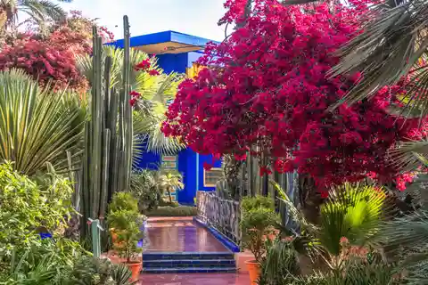 Marrakech - Botanical Tour including Majorelle Gardens