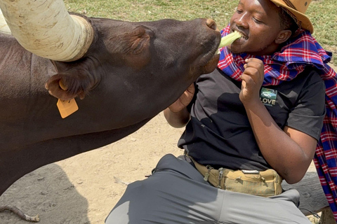 From Kigali: Bigogwe Cow Experience, Hiking & farm with Meal