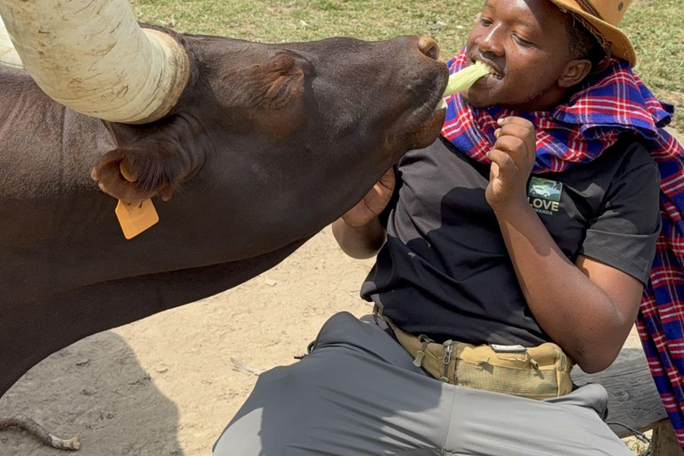 From Kigali: Bigogwe Cow Experience, Hiking & farm with Meal