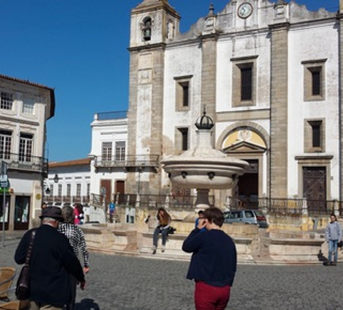 Guided tours