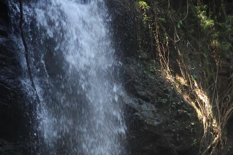 Ubud: Bali Barong ATV Quad Bike – Waterfalls & Flying Bridge Single ATV Quad Bike – Meeting Point