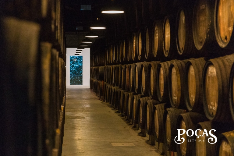Porto: Guided Tour & Tasting of DOC Douro & Port Wines Tour in Portuguese