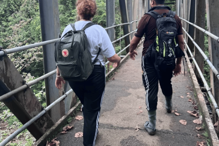 Sinharaja Rain Forest & Tea Factory Trip