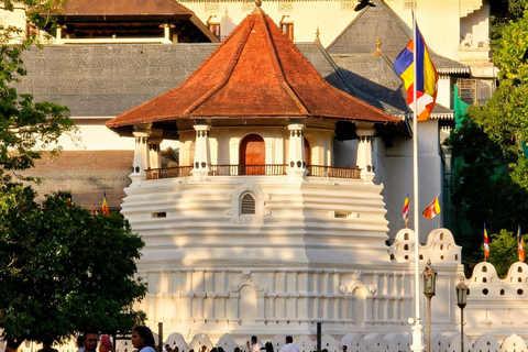 The Best Kandy Tuk-Tuk city Tour with a Professional Guide