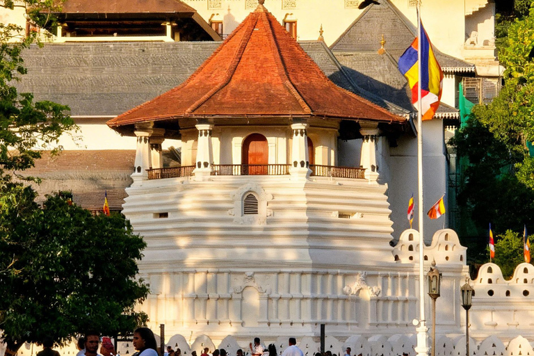 The Best Kandy Tuk-Tuk city Tour with a Professional Guide