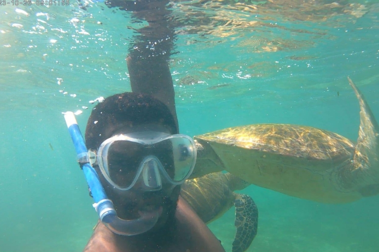 Snorkeling Trip from Polhena Beach, Matara, Sri Lanka