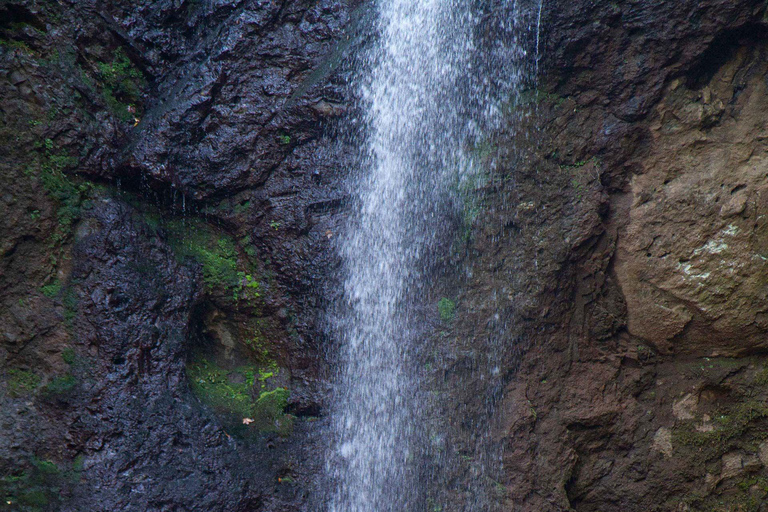 Baku: Southern Azerbaijan Hot Springs and Nature Tour 1-Day Lankaran Hot Springs Tour – Standard (No Meals)