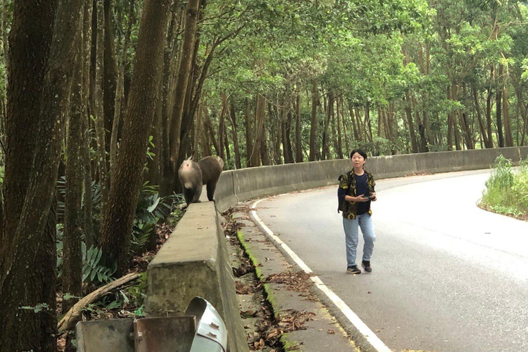 Kampot: Bokor Mountain Tour with locals Bokor Mountain Tour with an Experienced Guide