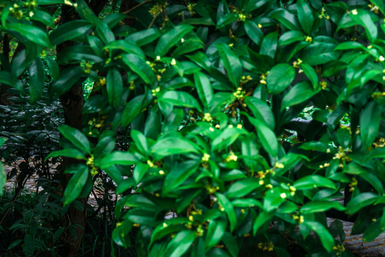Hangzhou Autumn Exclusive: Manlong Guiyu Hiking Trail