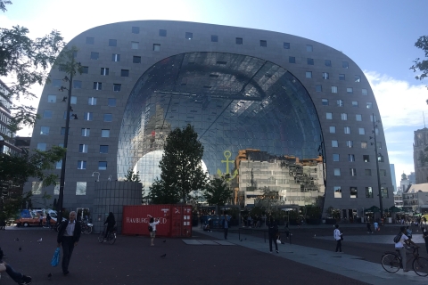 Z Amsterdamu: Jednodniowa wycieczka do Rotterdamu, Delft i HagiPrywatna wycieczka 8/9-osobowym minivanem