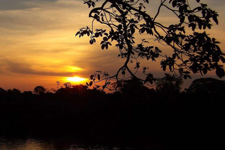 Depuis Puerto Maldonado || Tour en bateau de 3 heures au coucher du soleil ||