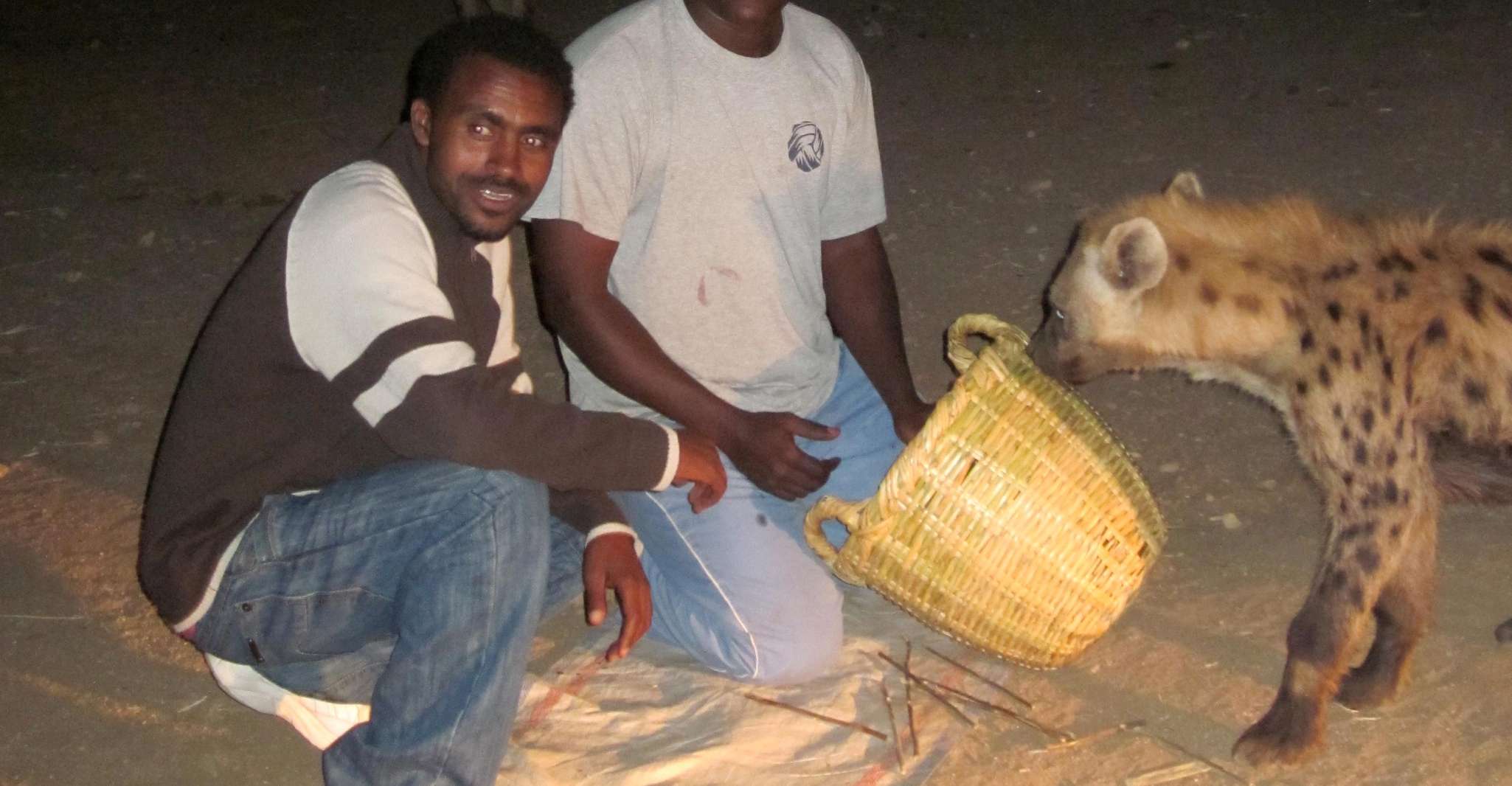 7dys/6nts tour combinado al valle de Harar y Omo - Hizvo