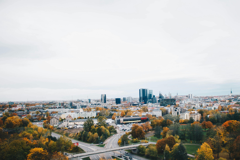 Helsinki: Ferry Between Helsinki & Tallinn with Eckero Line Tallinn → Helsinki (One Way)
